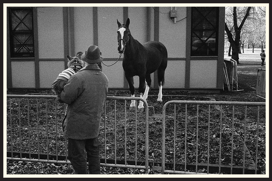 Film photo of a man and his dog looking at a horse in Boston