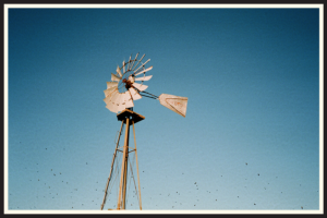 Film photo of a wind turbine with birds flying by in Texas