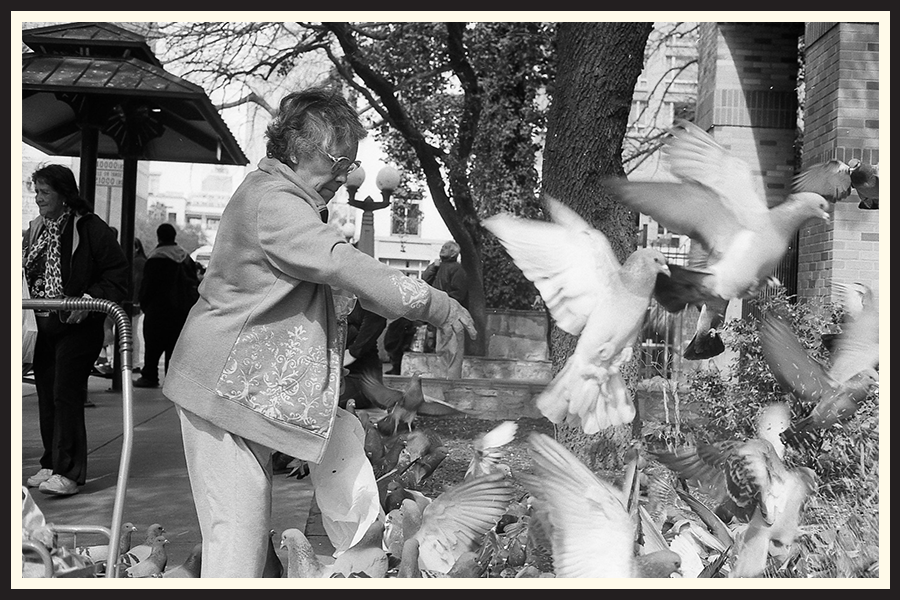 Film photo of a woman feeds pigeons in Texas