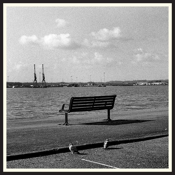 Black and white film photo of a bench overlooking the water in the UK.