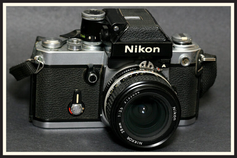 Best SLR Film Cameras? Comparing the Most Popular Models