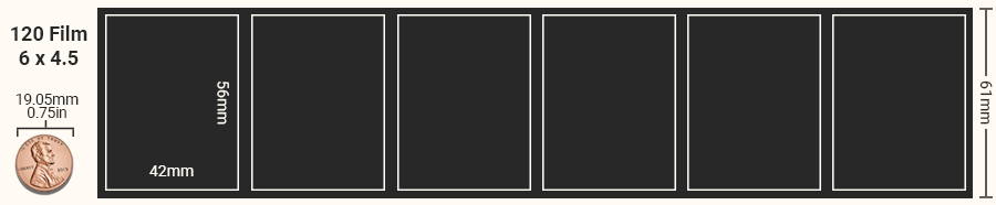 Diagram showing the size of medium format film photos in the 6x4.5 format.