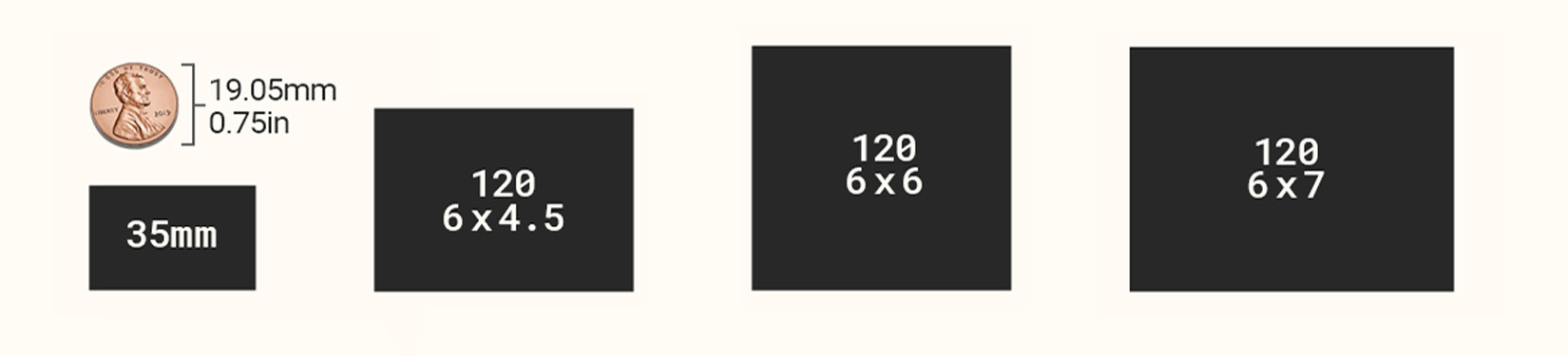 Graphic demonstrating the size differences medium format film formats.
