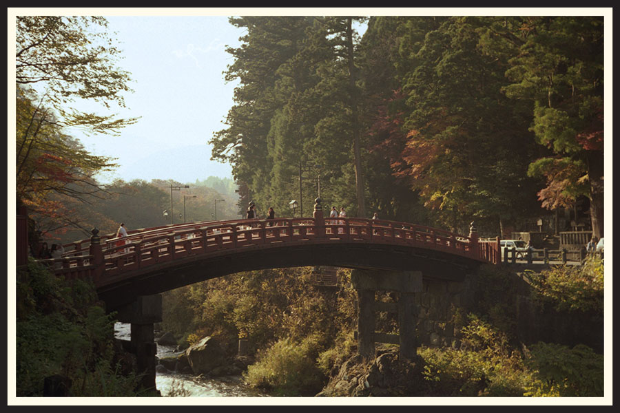 Film photo of a bridge surrounded by trees, taken on Kodak Colorplus 200.