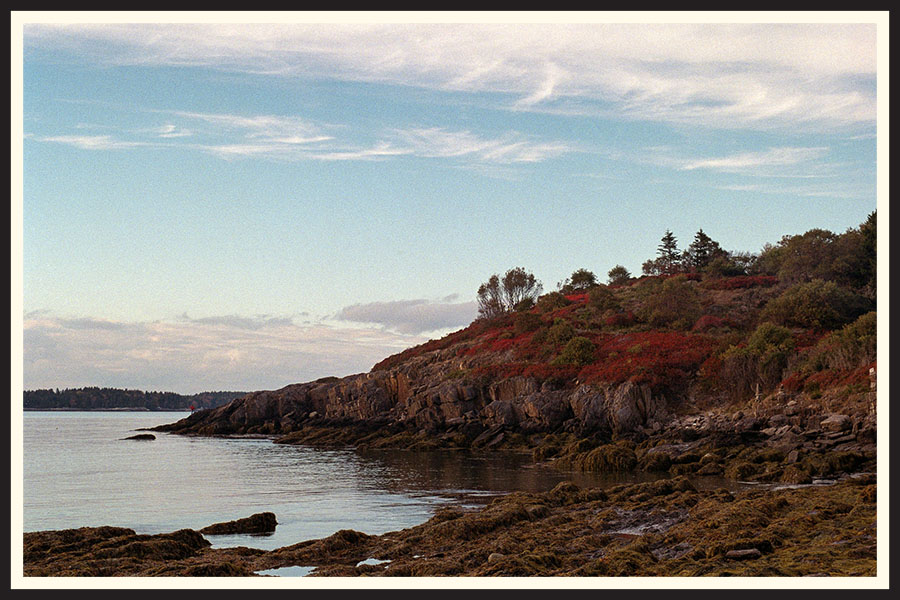 Landscape with red trees on a body of water, taken on Kodak Portra 800.